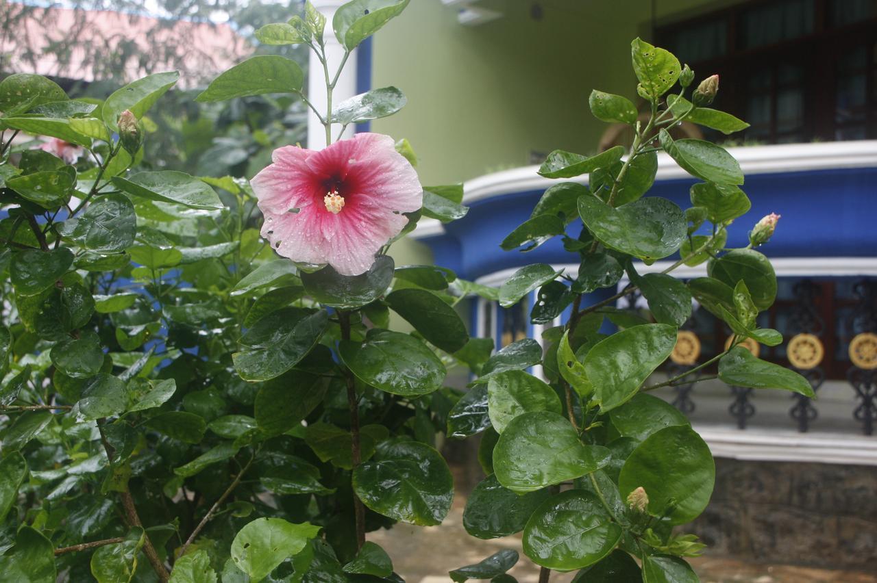 Anitha'S Garden Stay Kovalam Luaran gambar